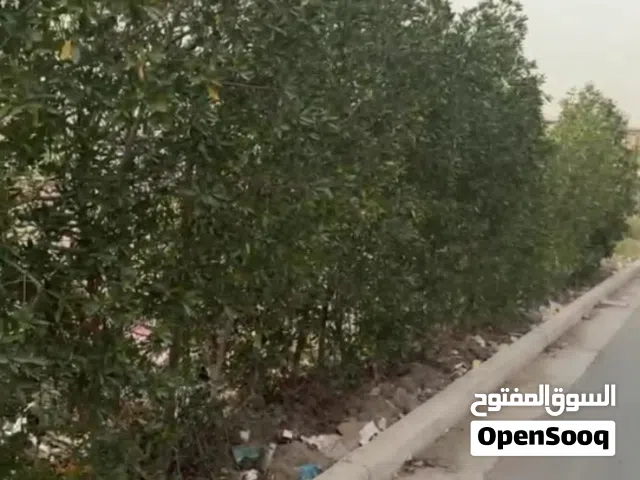السلام عليكم  بيت مساحة 50 متر بناء حديث في منطقة الاعلام مربع هادئ جدا على سريع مباشرةً مقابل مدخل