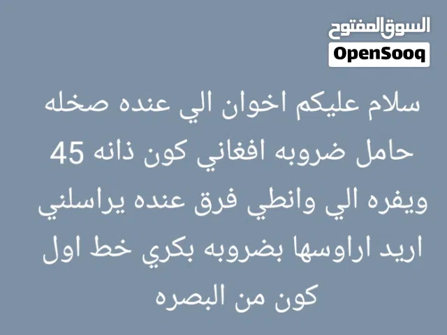 سلام عليكم