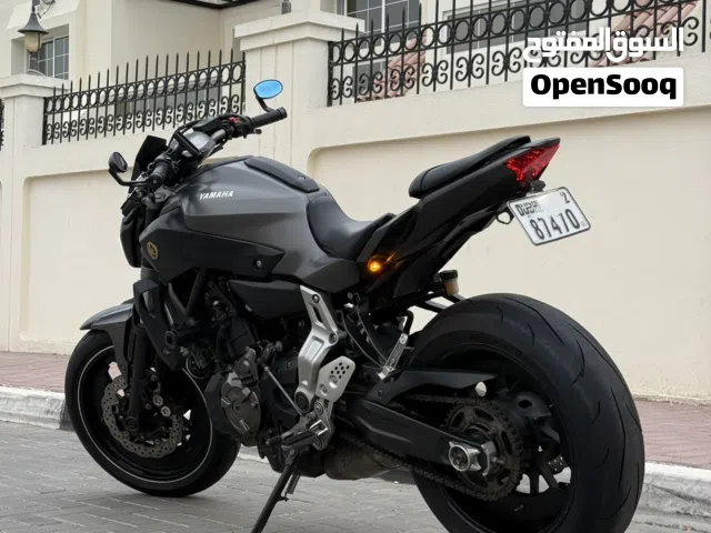2014 Yamaha MT-07