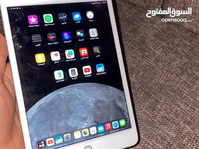 iPad mini 5