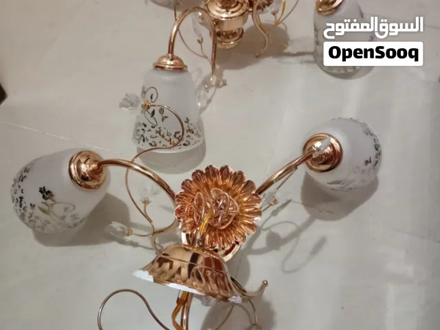 العدد 2 وحده منهم فيها كسر