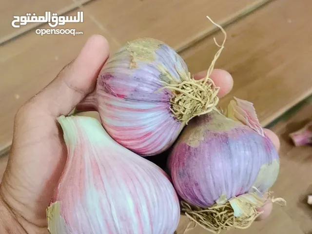 ثوم عماني للبيع حصاد تاريخ 15 من شهر 3