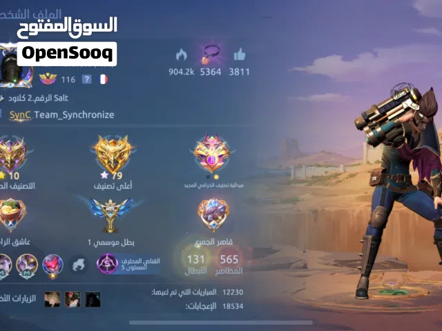 Accounts - Others Accounts and Characters for Sale in Mafraq