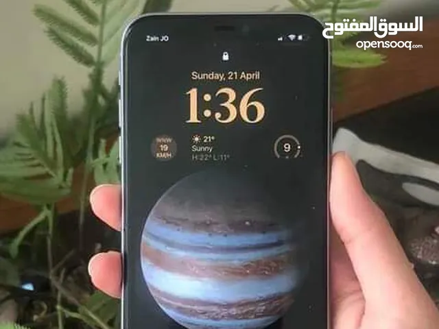 Apple iPhone 11 128 GB in Amman