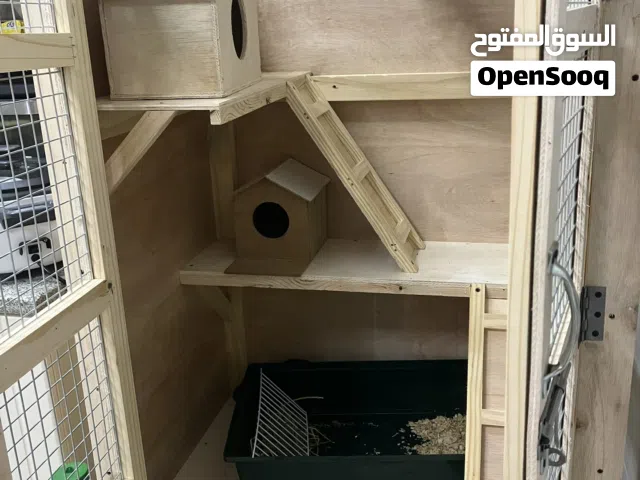 بيت شنشيلا و أرانب chinchilla and rabbit house