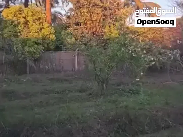Farm Land for Sale in Saladin Balad