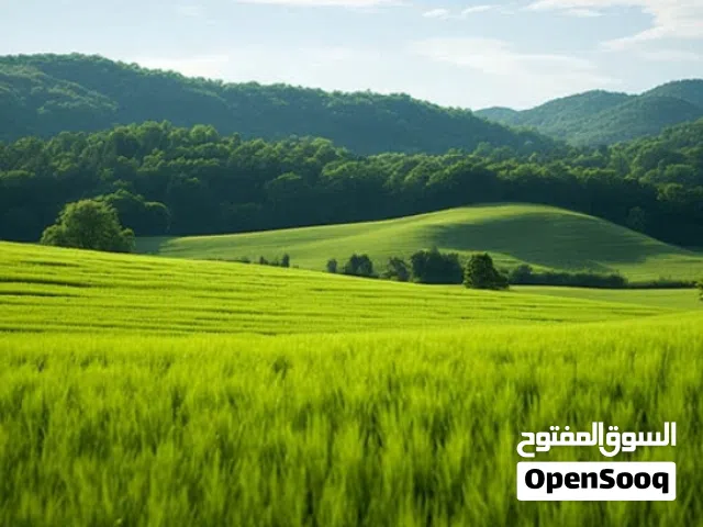 Mixed Use Land for Sale in Irbid Other