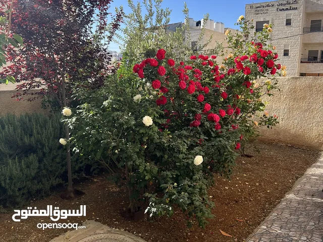 شقة مع حديقة شارع الاردن حي الضياء 140 متر داخلي +90 متر خارجي