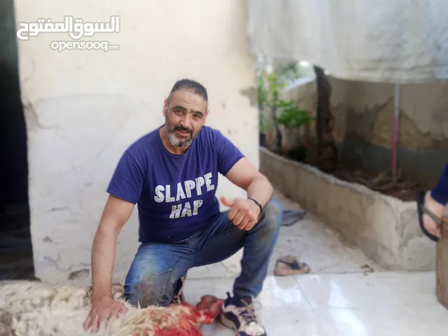 الحواري لذبح الاضياحي والعقائق في المنزل ذبح وسلخ وتقطيع بسعر مناسب للجميع