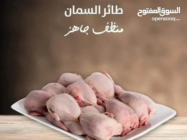 بيض فري طازج يومي
