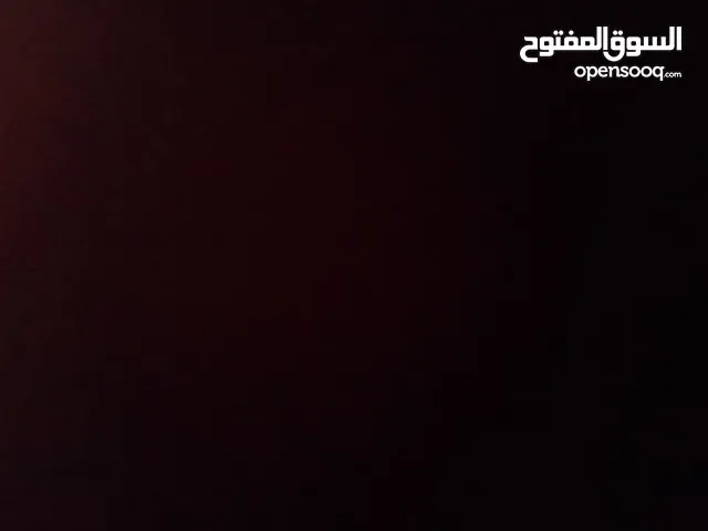 بيكم بينجو 1993 لون ابيض