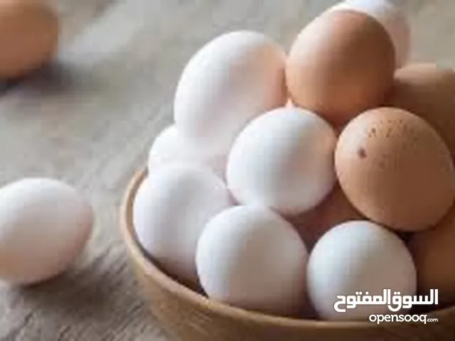 الي عنده بيض ويريد اكعده اله سعر البيضه ربع دينار مكاني آبي الخصيب بلحي العسكري