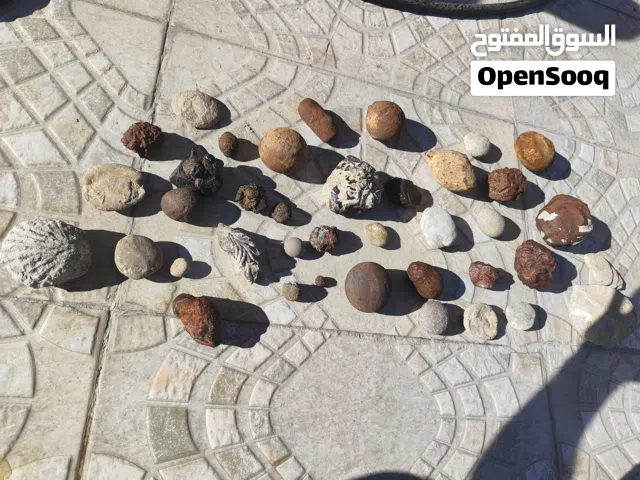 أحجار كريمة نادرة وحفريات جميلة جدًا