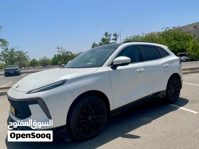 2024 Forthing T5 Evo