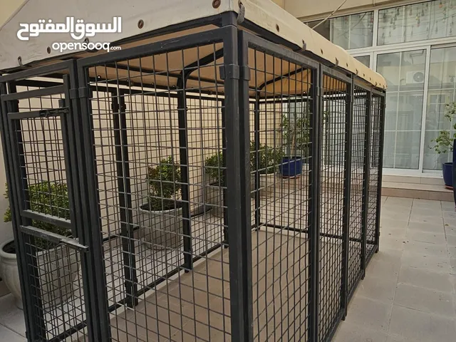 قفص كلب مساحته كبيرة