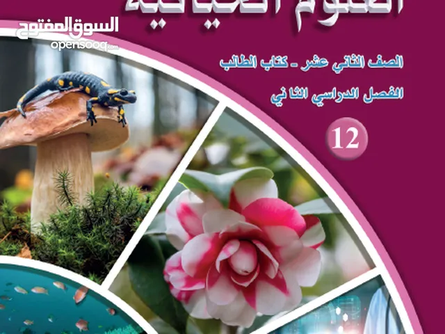 Other in Irbid