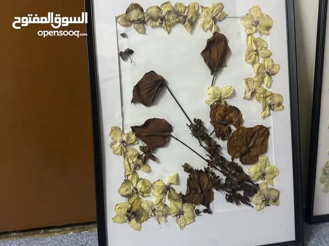 Just used 1 day and its flower cenery for just 5 kd for 2 urgent sale