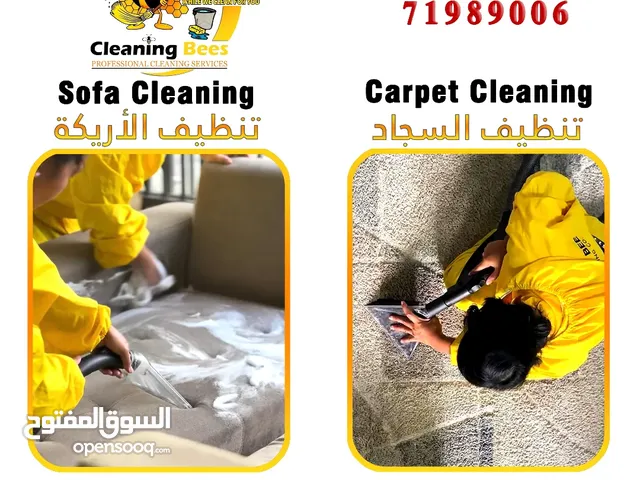Carpet and Sofa Cleaning