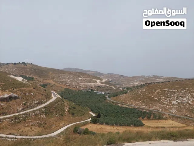 ارض بالصلاة على النبي كاشفة ومطله على 3 شوارع طابو A نابلس مستقل الله يبارك لصاحب النصيب