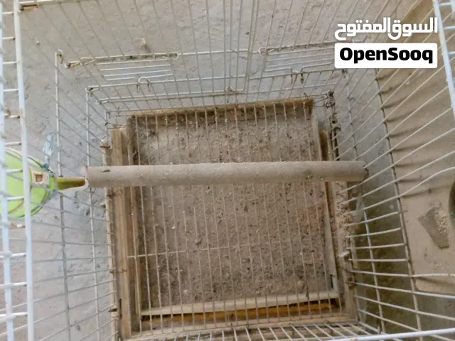 قفص طيور حجم وسط