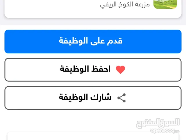 يوسف حسين العبيديه