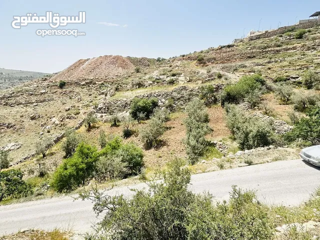 Farm Land for Rent in Irbid Bayt Yafa