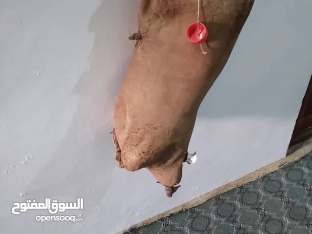 قرب ماء جلد يدوية ألصنع لتبريد ألماء