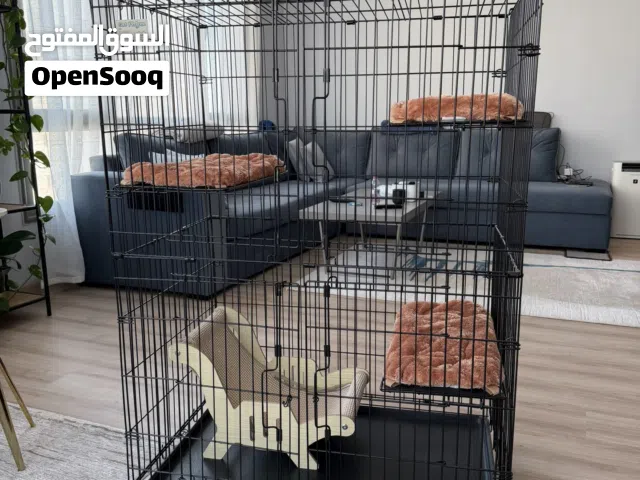 Cage for cats kittens