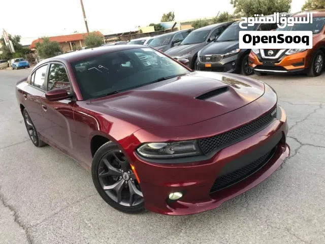 جارجر ماروني 2019