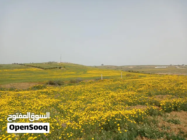 Mixed Use Land for Sale in La Manouba Other