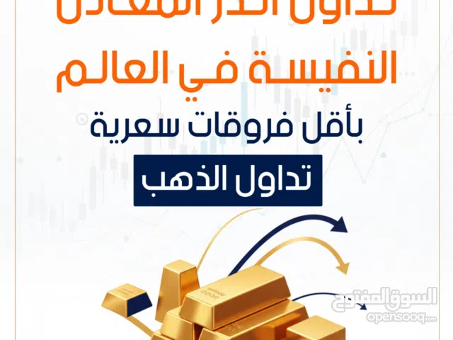 مصممه جرافيك محترفه