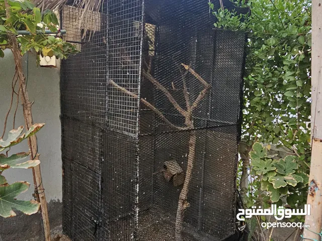 للبيع قفص طيور