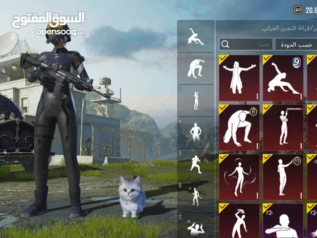 Pubg Accounts and Characters for Sale in Benghazi