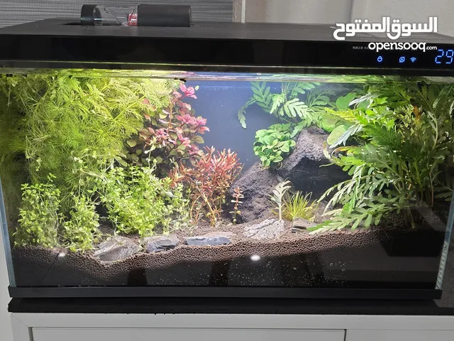 خزان أسماك ذكي من شاومي - Xiaomi Mijia Smart Fish Tank MYG100