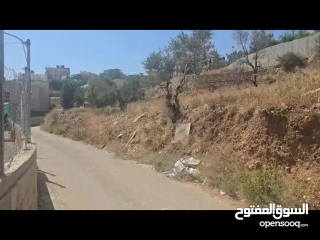 Residential Land for Sale in Ramallah and Al-Bireh Jifna