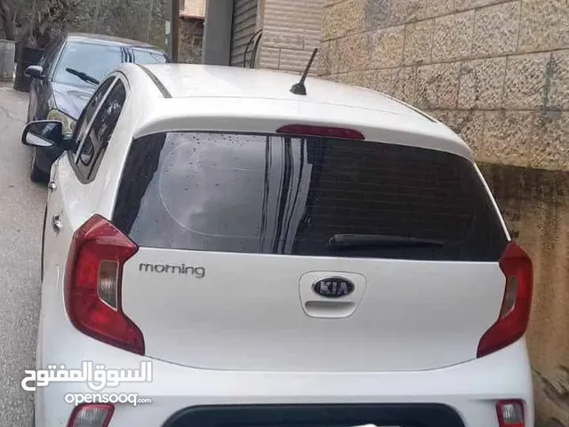 كيا بيكانتو مورنينج 2019