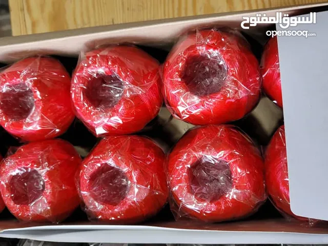 الجميع نواع الخصف السعودي متوفر الدينا