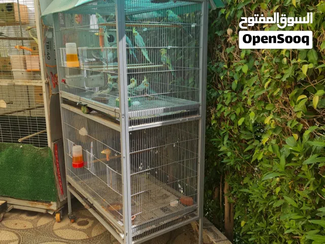 قفص عصافير فك وتركيب للبيع