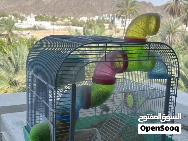 قفص الحيوانات الأليفه