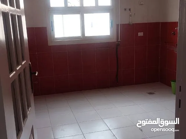 شقه للايجار في التجمع الخامس