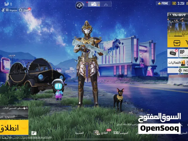 Pubg Accounts and Characters for Sale in Al Batinah