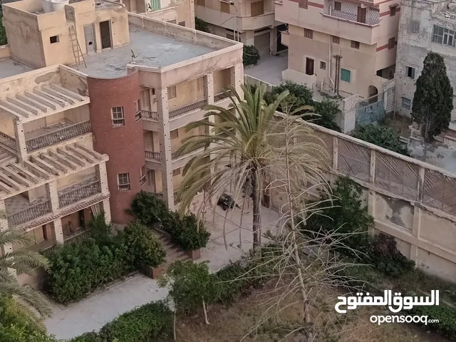 240 m2 3 Bedrooms Apartments for Rent in Alexandria Agami