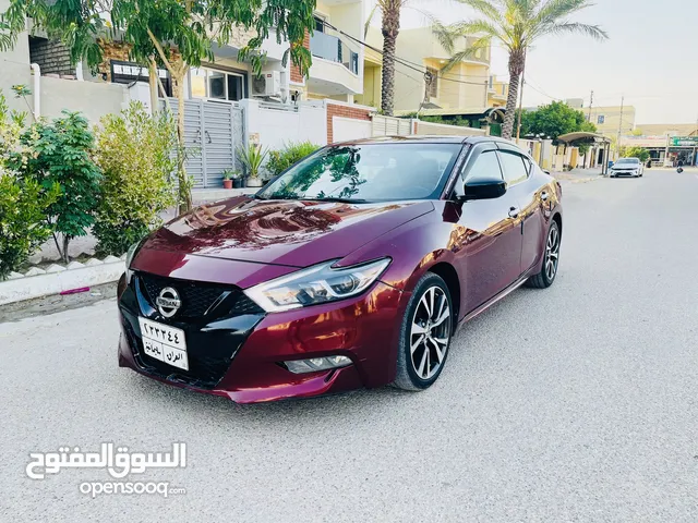 New Nissan Maxima in Baghdad