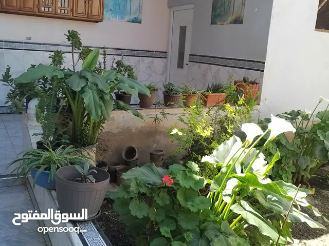 Building for Sale in Oran Other