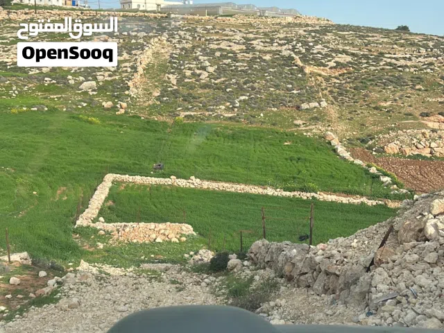 ارض سكنية مميزة