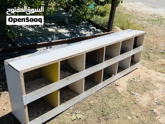 فن حمام او دجاج للبيع