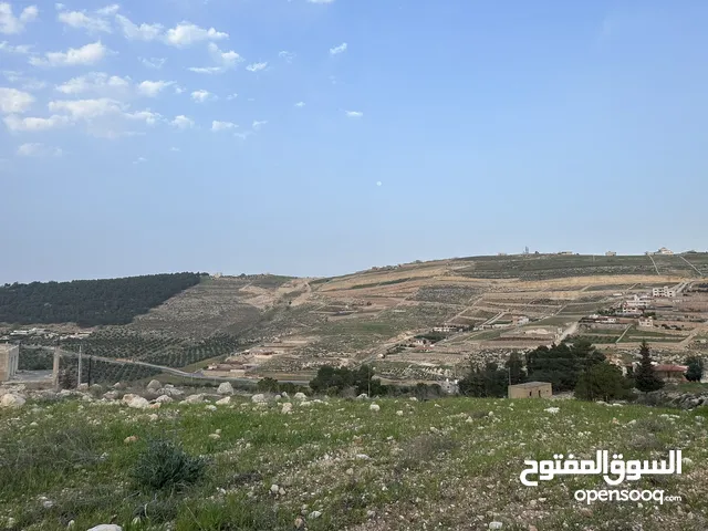 Farm Land for Sale in Zarqa Al-Kamsha