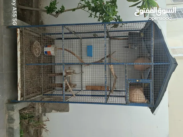 قفص طيور للبيع