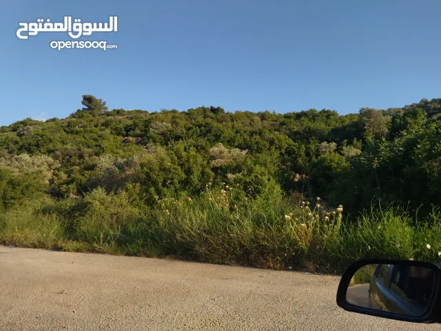 Residential Land for Sale in Salfit Other