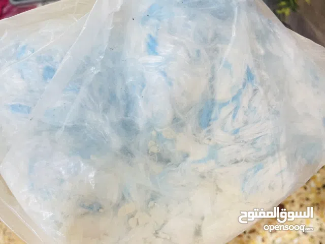 ريش سقف با لون ازرق